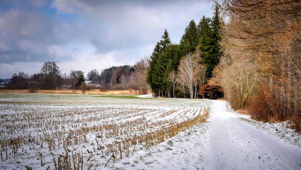 De-Meelfabriek-Leiden sneeuwlandschap
